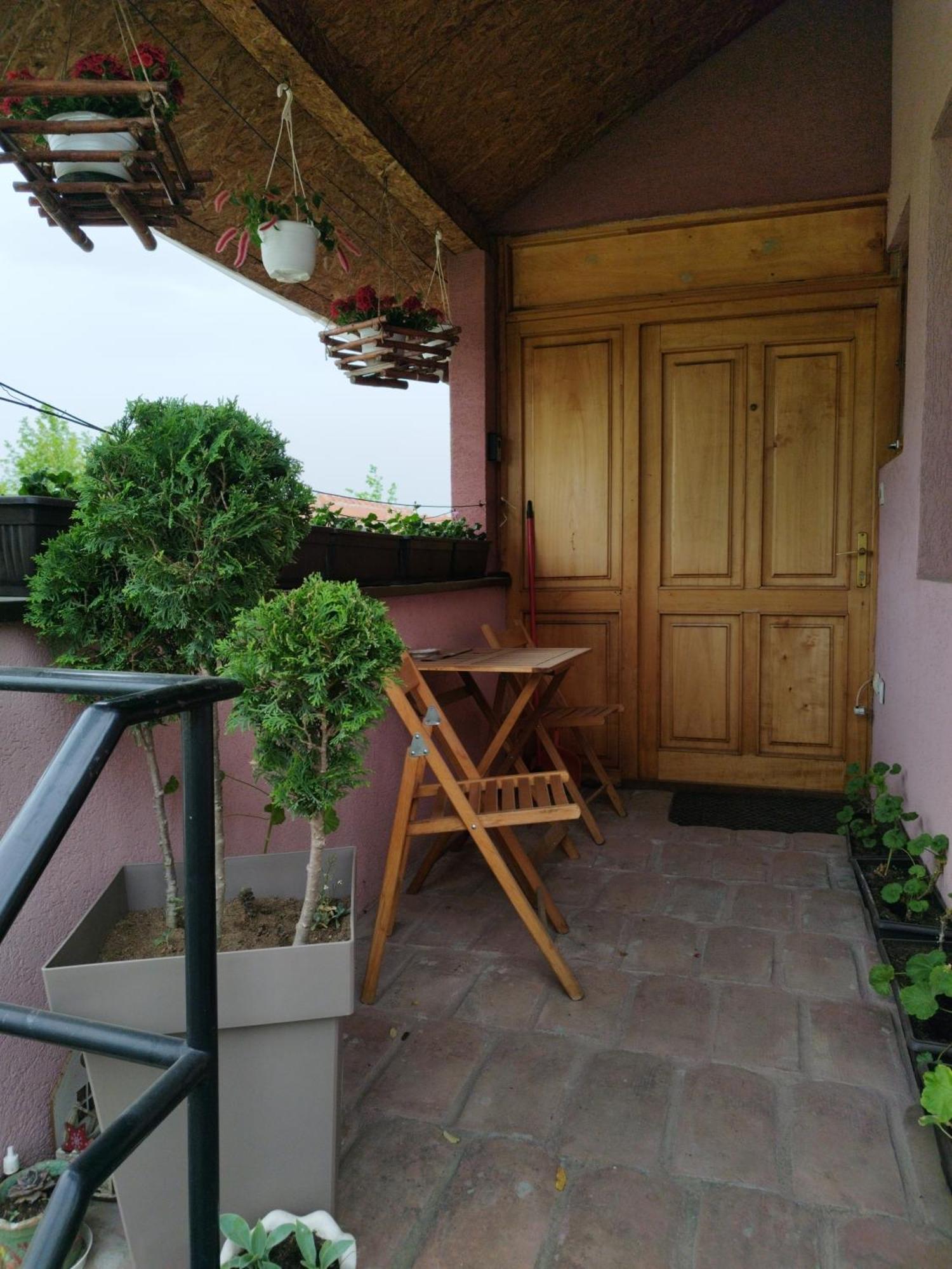 Stancic 019 Apartment Zaječar Exterior foto